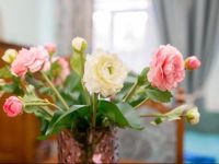  Aperments Lux on Leontovycha