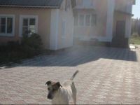  Vacation house in Yasnaya Polyana