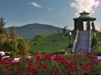  Mashuk Aqua-Term Sanatory