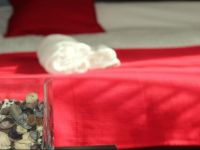  Chillout House guest house