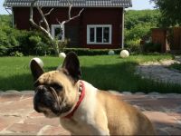  Bakhanovicha 34 Holiday Home