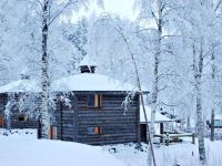  Koivu, Lahde and Kuusi