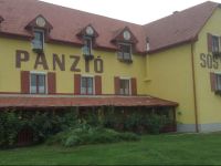  SГіs BorhГЎz PanziГі