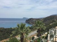  Anemone Blue & White