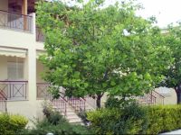  Siviri Rental Houses