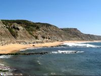  Coral Vacation Rentals (AL)