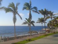  Apartments Arena Negra