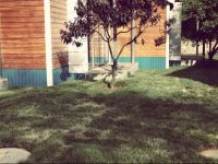  Yishang Holiday Club