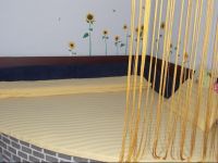  Travelers Youth Hostel