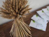  й¦™жќ‘зҐЃеє„