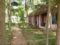  Paddy Homestay
