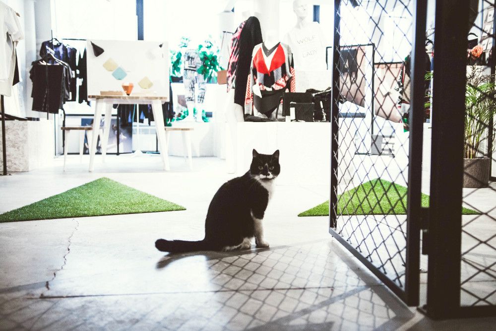 Магазин искусства и дизайна 