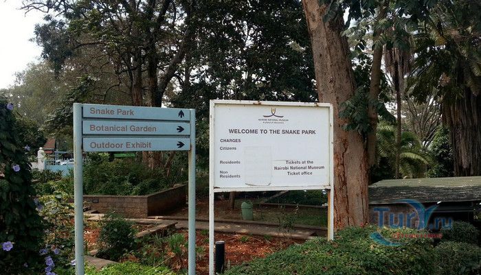 Парк Змей в Найроби
