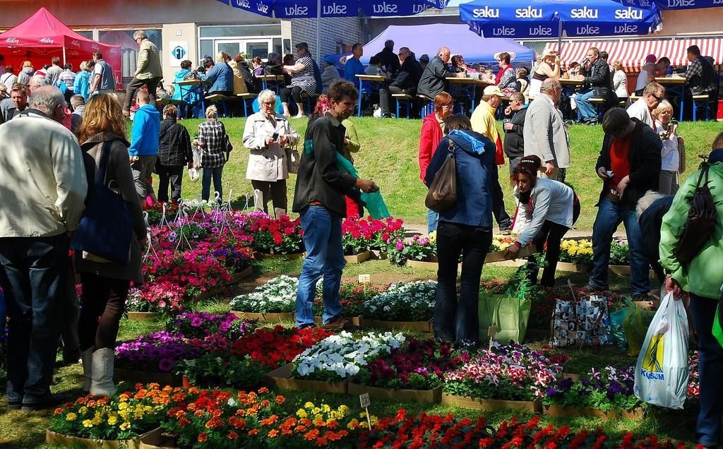 Ярмарка цветов в Тюри