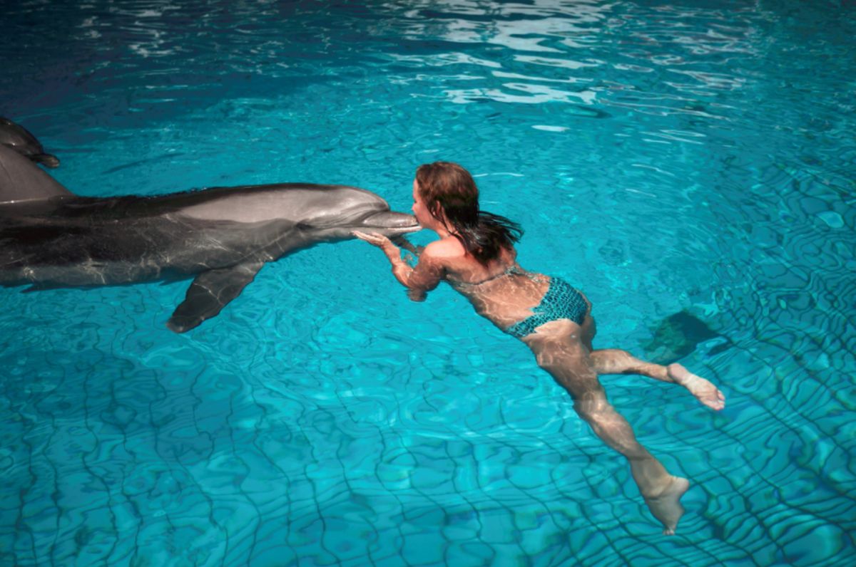 Кемер Дельфинарий