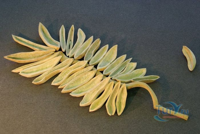 Юрмальский Городской Музей