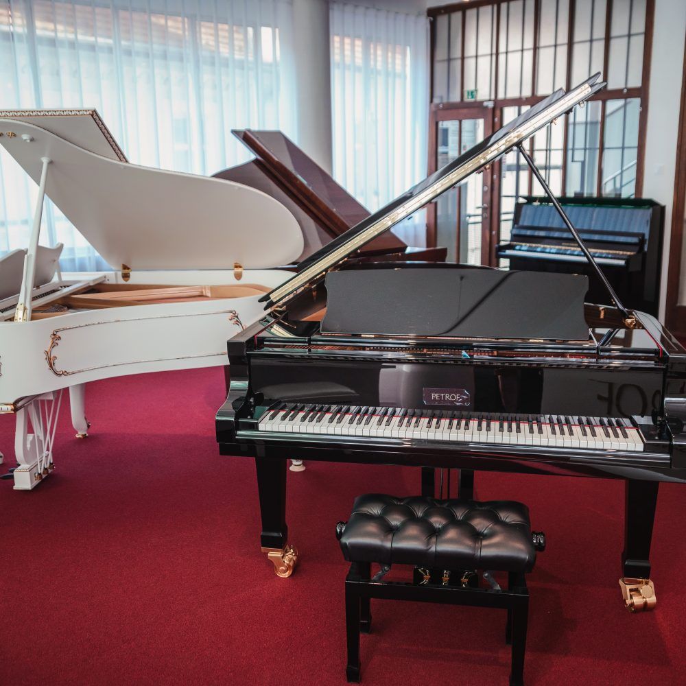 Музыкальный магазин Petrof Piano Salon