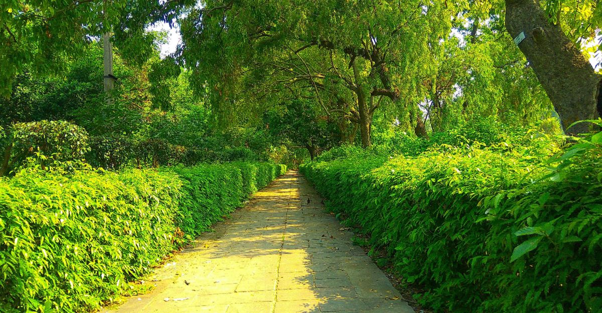 Сады Рошанары