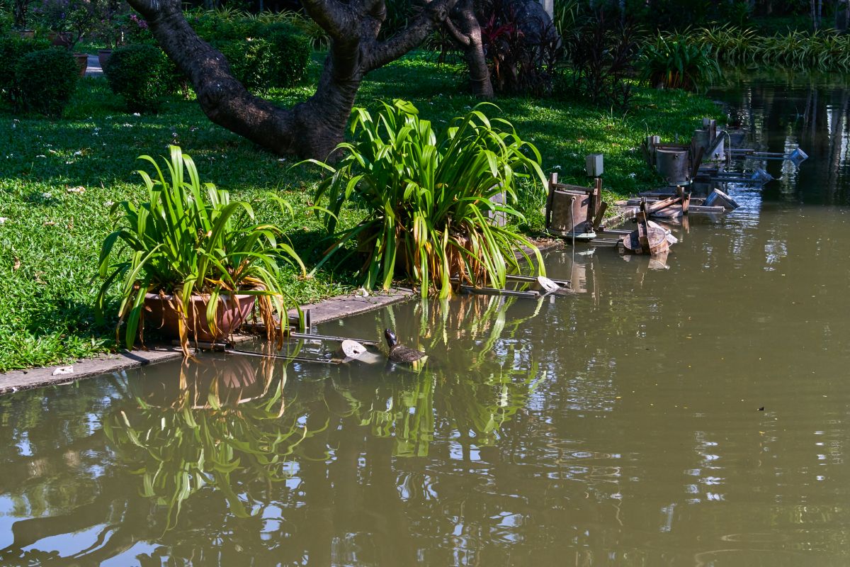 Саранром Парк