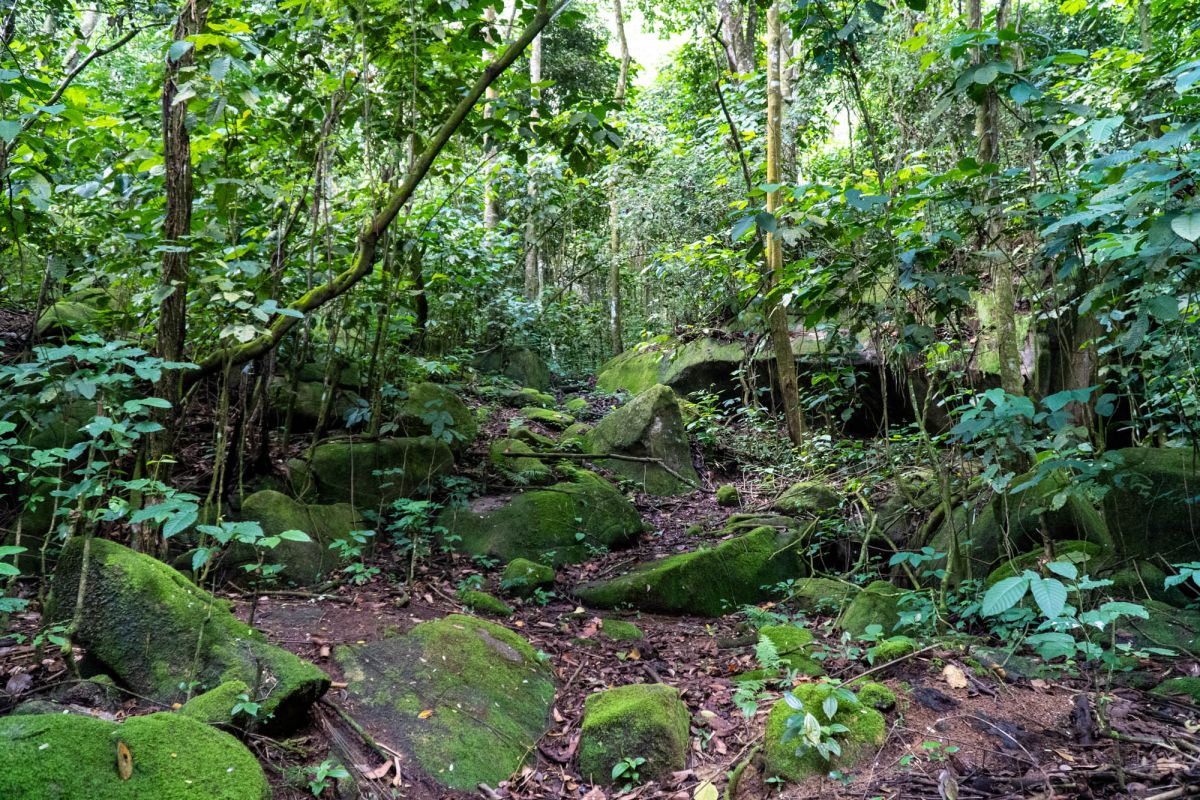 Салази Трейл