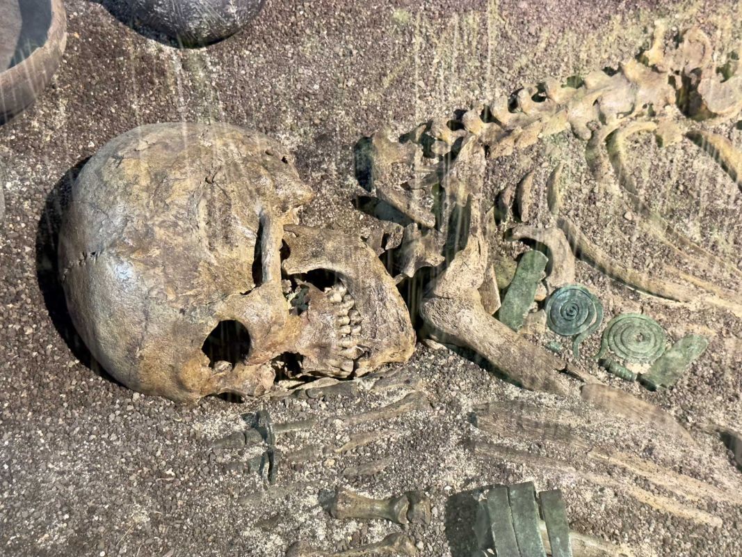 Вроцлавский археологический музей