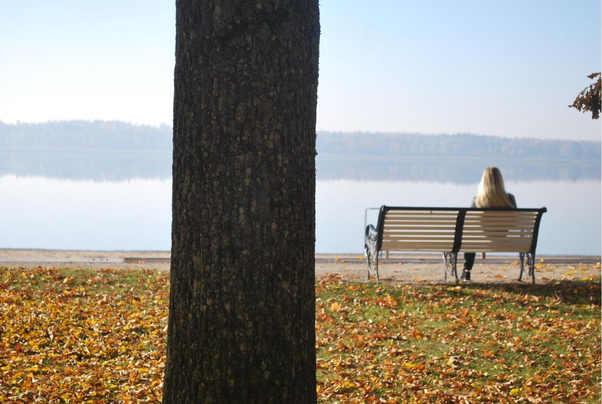 Памятник Фр. Р. Крейцвальду и парк на берегу озера Тамула