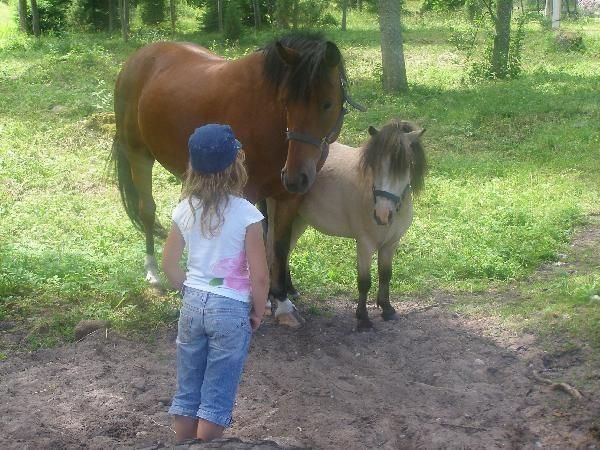 Открытый хутор Капа