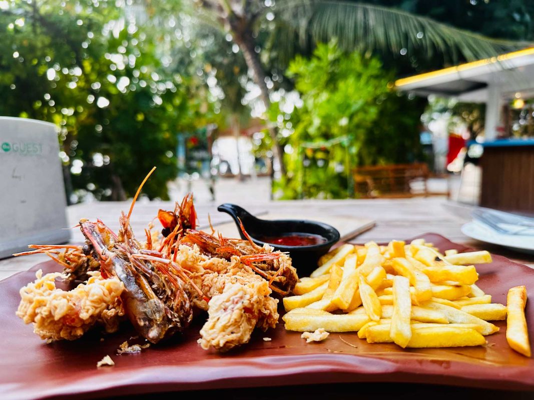 Mr.Octopus - Your holiday Chef