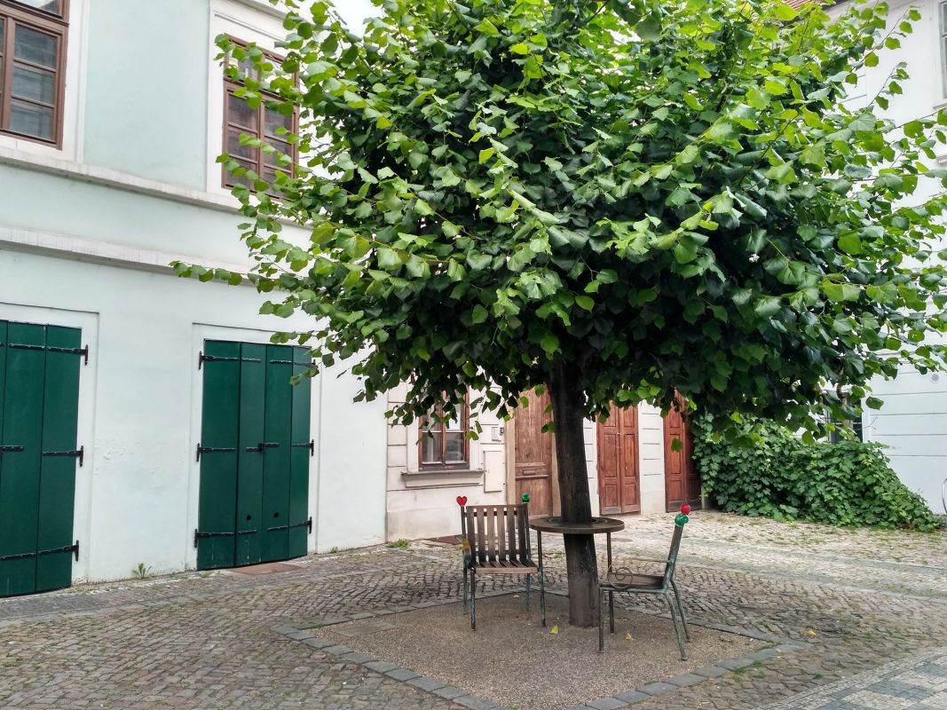 Лавочка Вацлава Гавела