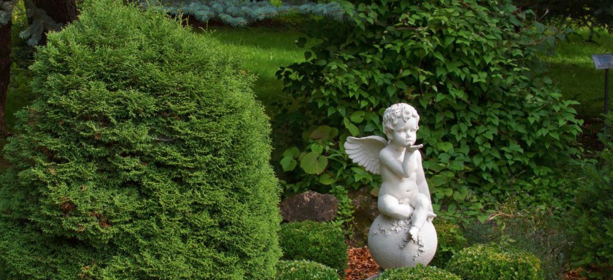 Ботанический сад Тверского государственного университета