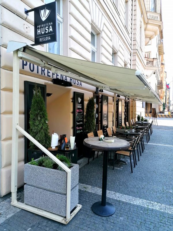 Potrefená husa Resslova