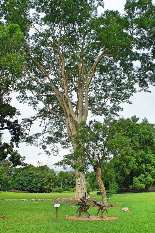 Парк Нассим Гейт