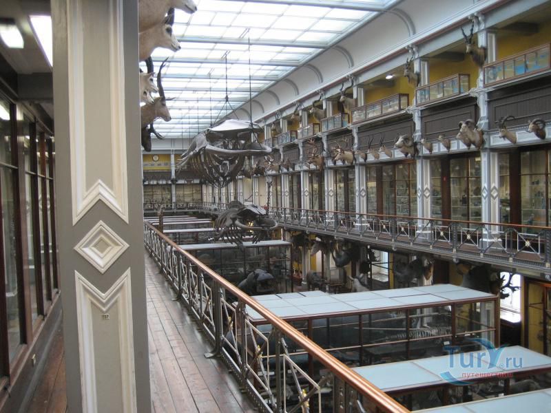 Музей Истории Естествознания