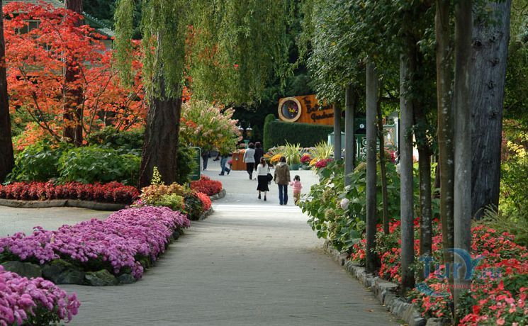 Сады Бутчарт