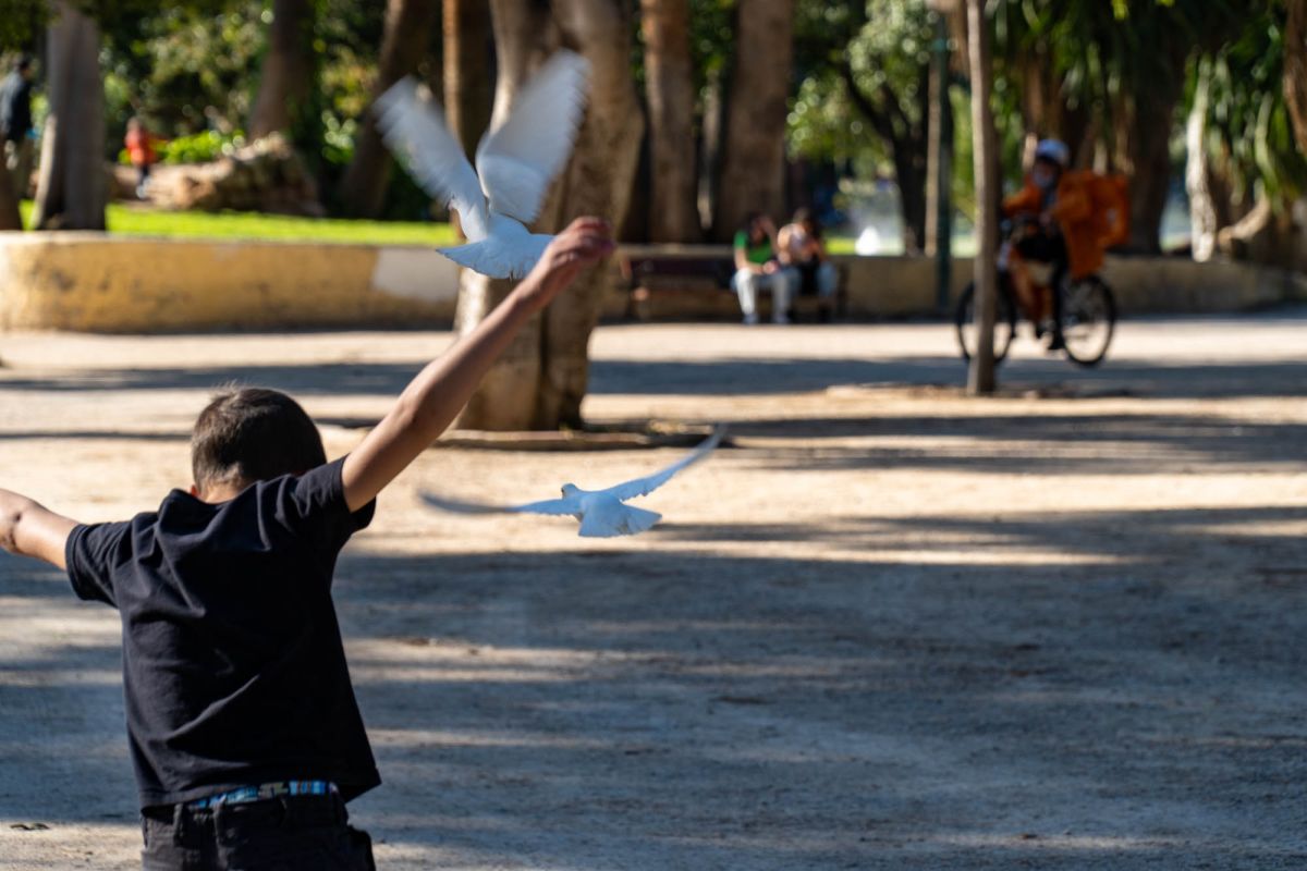 Сады дель Реал / Виверс