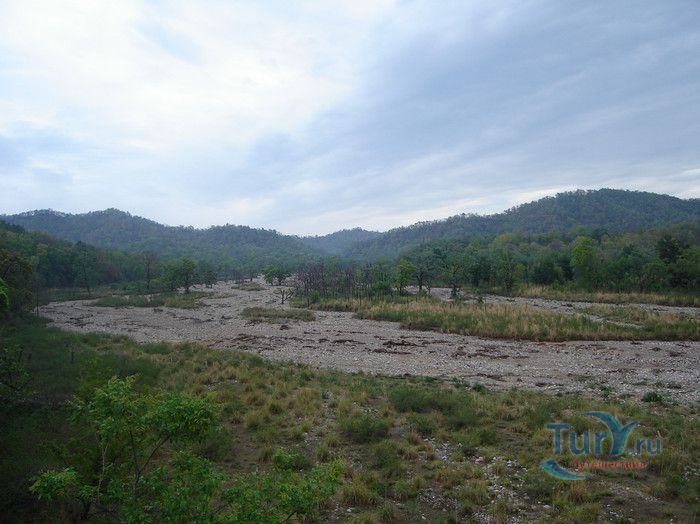 Национальный Парк Джим Корбетт