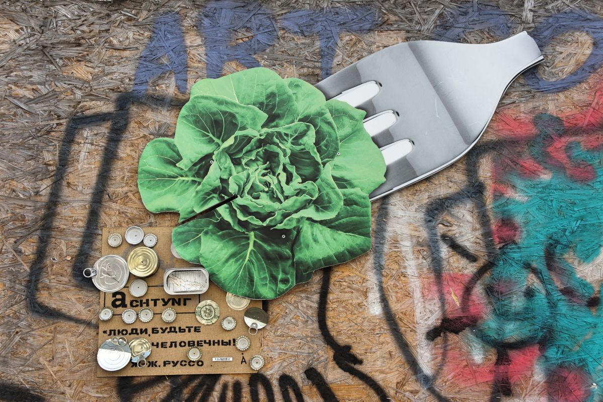 Сквозняк Йонаса Мекаса