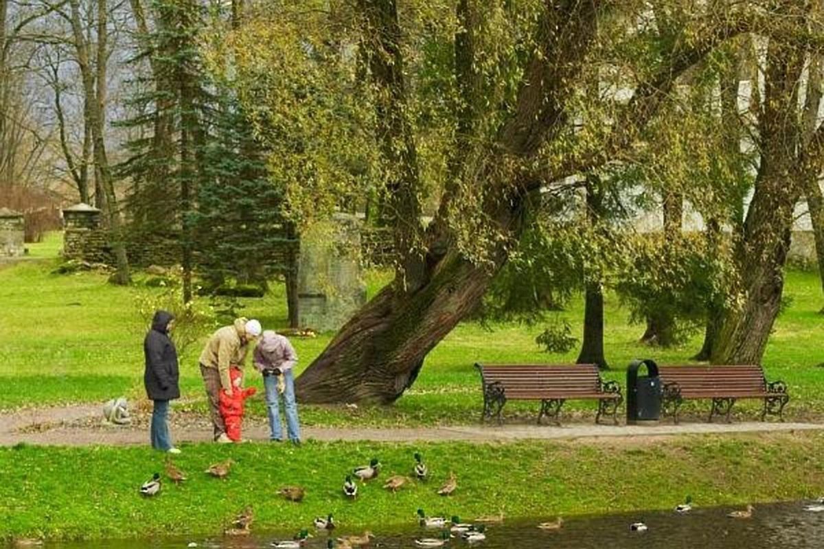 Раплаские речные променады