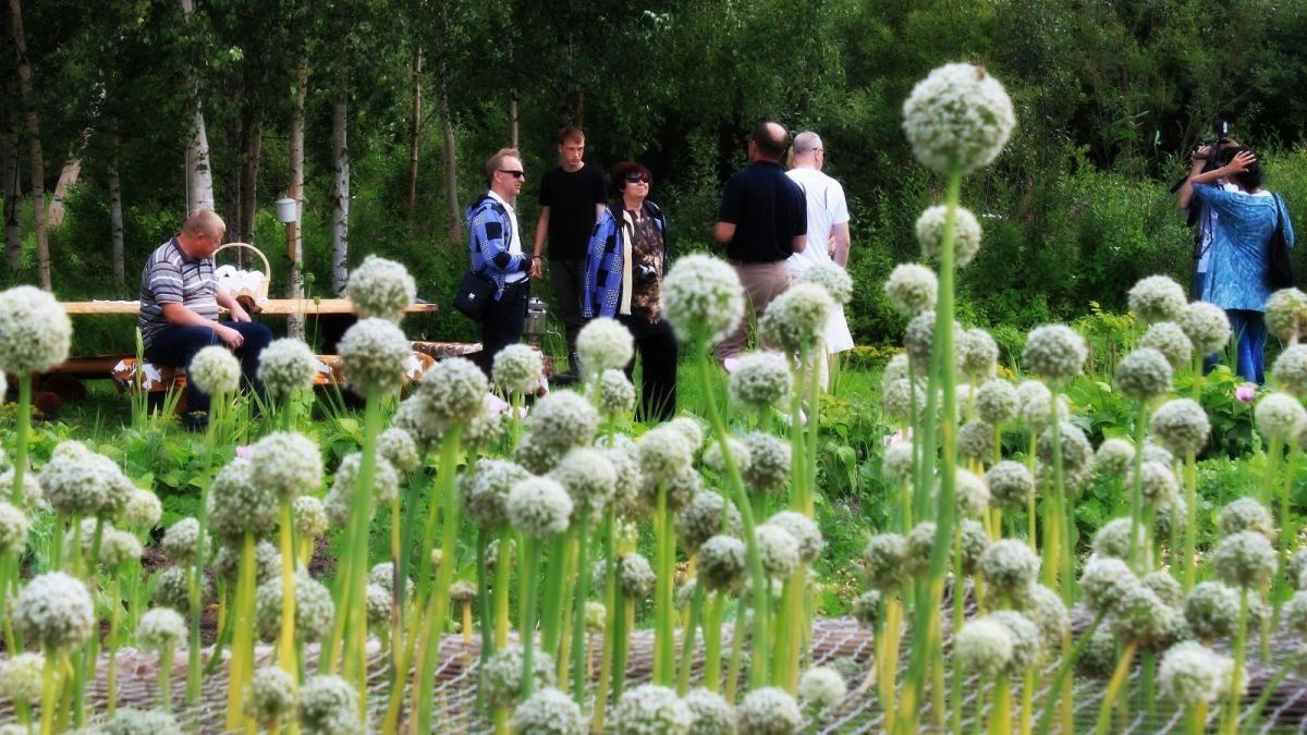 Луковая ферма Костя