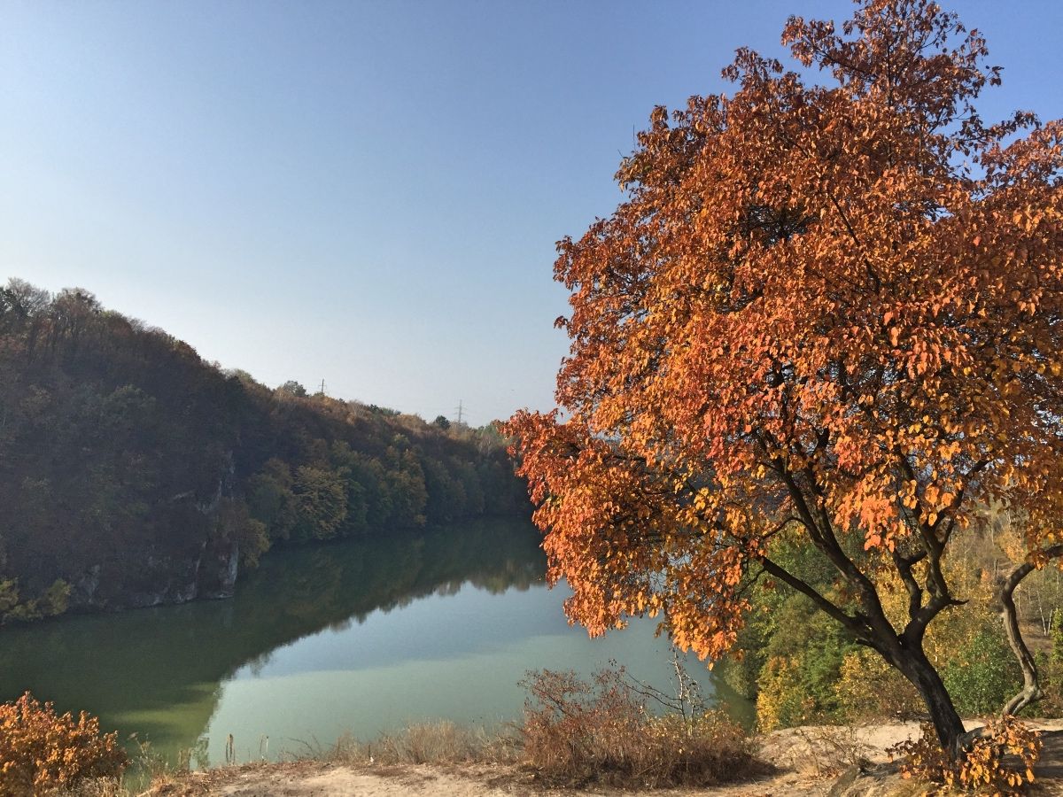 Река Тетерев