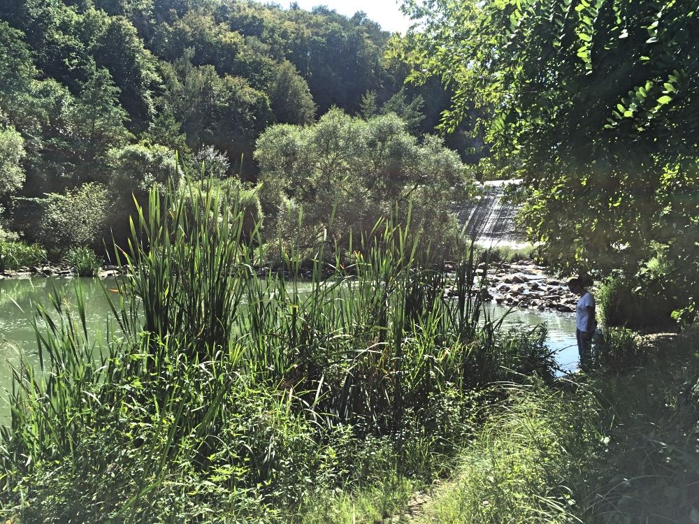 Житомирская плотина