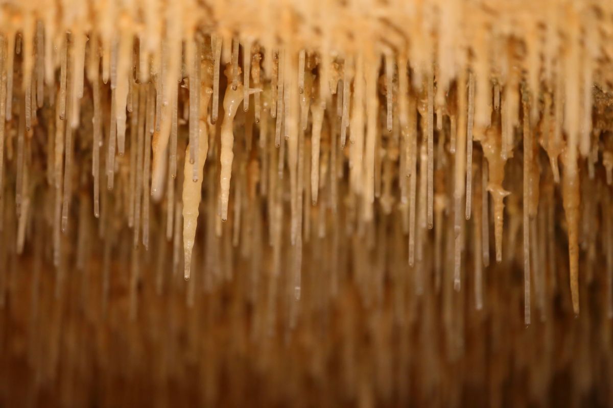 Ходабандех