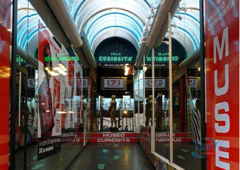 Музей курьёзов