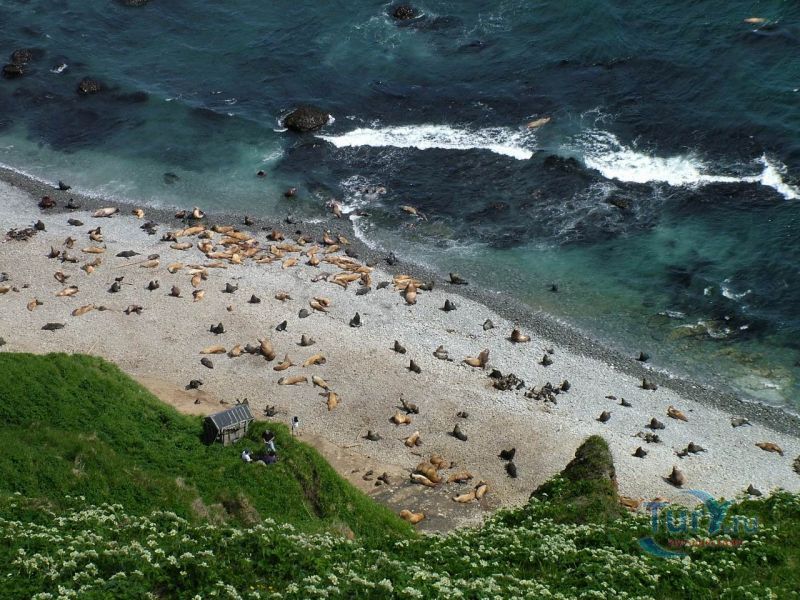 Командорский заповедник