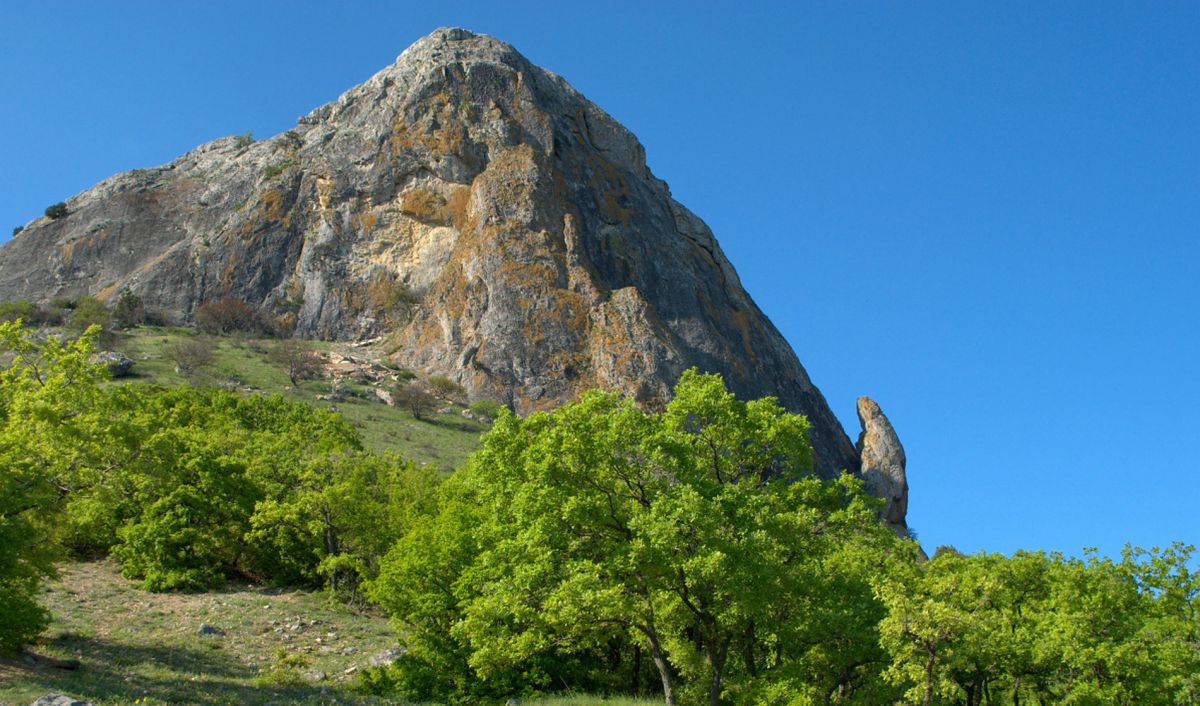 Гора Лягушка