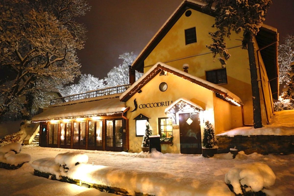 Ресторан Coccodrillo (Виймси)