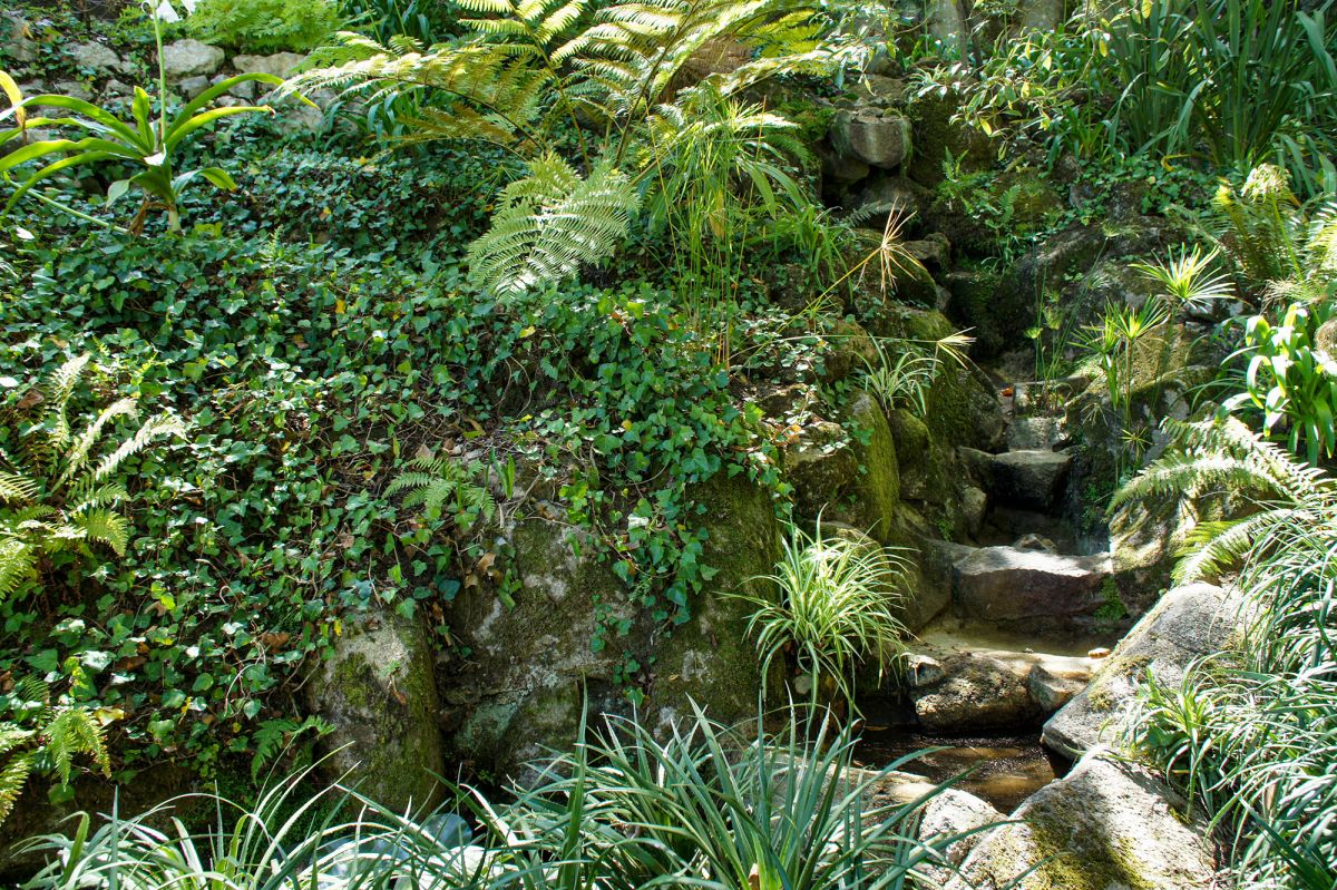 Вилла Сассетти