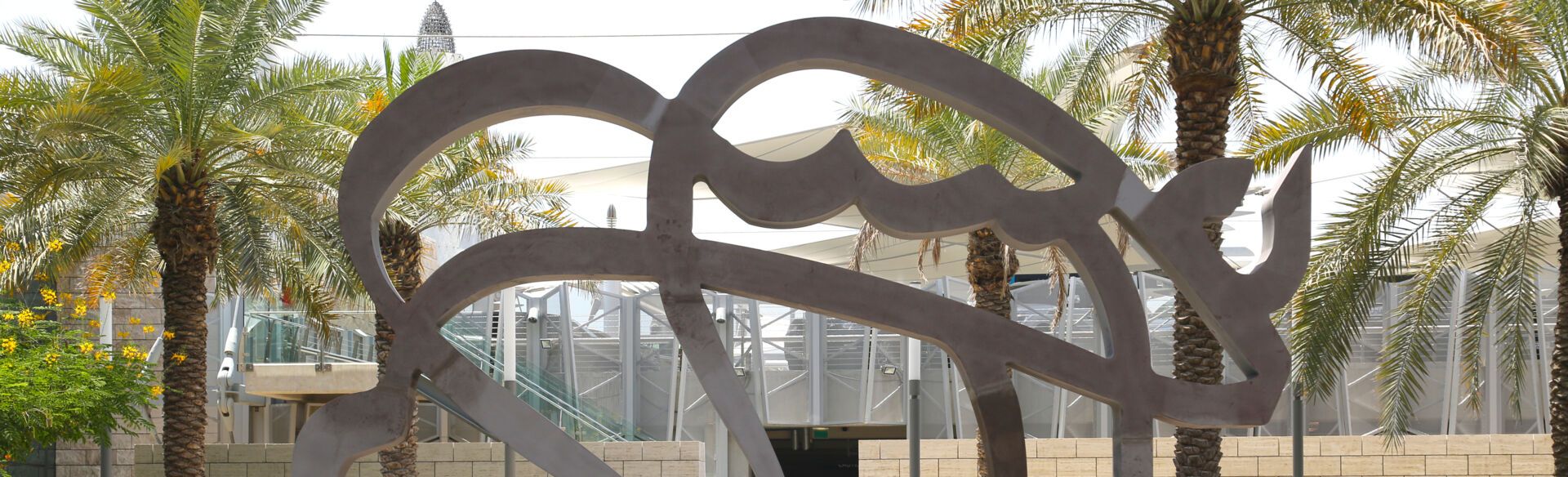 Инсталляция Лошадь пустыни