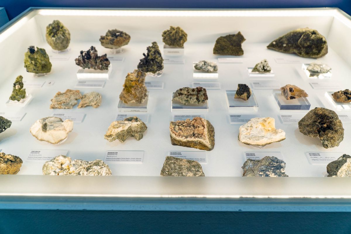 Музей естественных наук