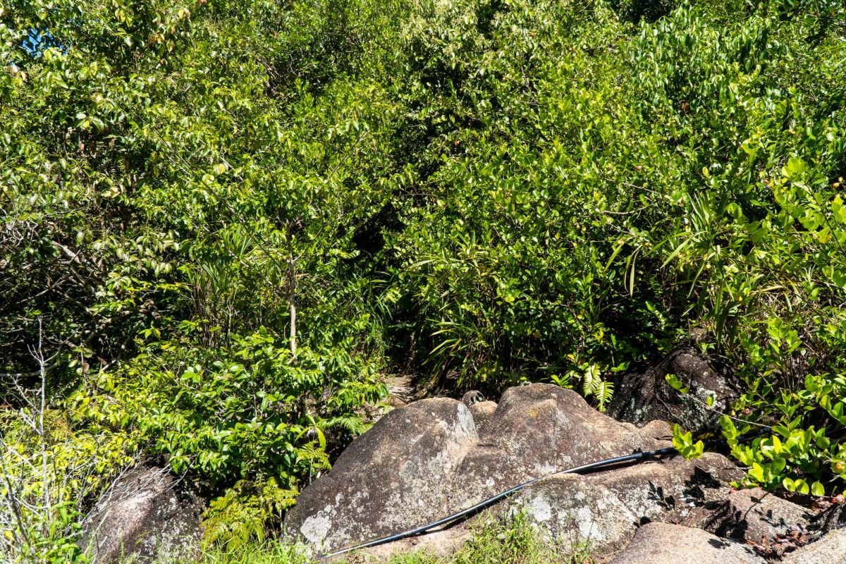 Гласис Ла Резерв Трейл